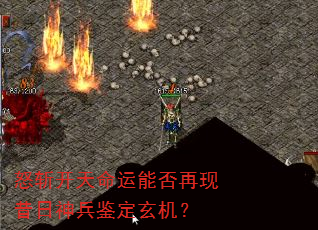 ŭն���������ܷ����������������������
