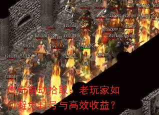 �����Զ�ʰȡ���������α��������Ч���棿