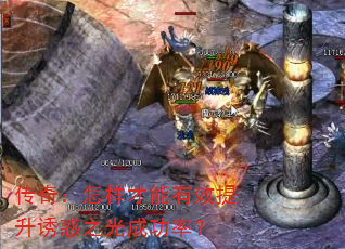 ���棺����������Ч�����ջ�֮��ɹ��ʣ�