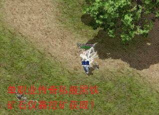 ��ְҵ����˽��������ʯ�����ڿ��ȡ��