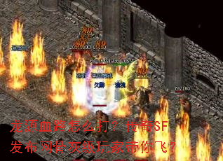 ��ԴѪ·��ô�򣿴���SF�������ǻҼ���Ҵ���ɣ�