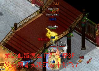 ��ԴѪ·��ô�򣿴���SF�������ǻҼ���Ҵ���ɣ�