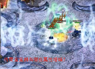 ���汦��ӵ����Щ����������