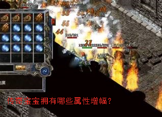 ���汦��ӵ����Щ����������