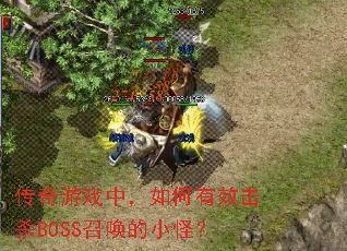 ������Ϸ�У������Ч��ɱBOSS�ٻ���С�֣�