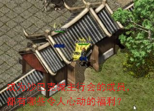 ��Ϊɳ�Ϳ˳����л�ĳ�Ա��������Щ�����Ķ��ĸ�����