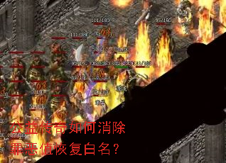 ���洫������������ֵ�ָ�������