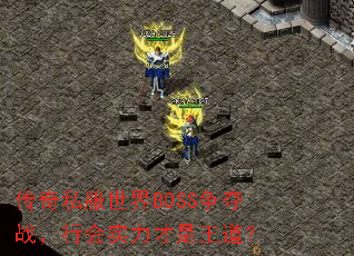 ����˽������BOSS����ս���л�ʵ������������