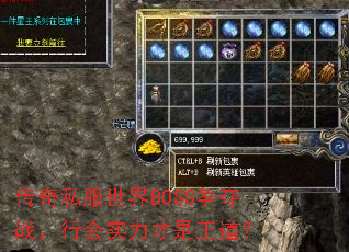 ����˽������BOSS����ս���л�ʵ������������