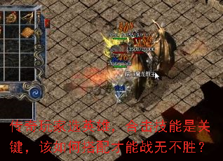 �������ѡӢ�ۣ��ϻ������ǹؼ�������δ������ս�޲�ʤ��