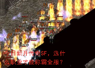 �����¿�����SF��ѡʲôְҵ���ܳư�ȫ����