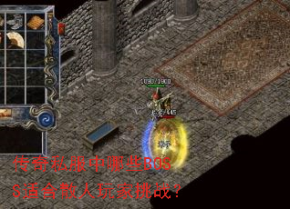 ����˽������ЩBOSS�ʺ�ɢ�������ս��