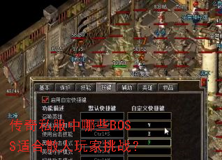 ����˽������ЩBOSS�ʺ�ɢ�������ս��