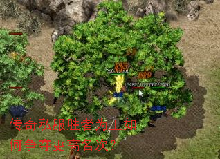 ����˽��ʤ��Ϊ���������������Σ�