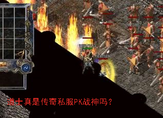 ��ʿ���Ǵ���˽��PKս����
