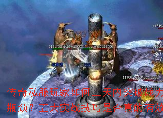 ����˽��������������ͻ��ս��ƿ�������ʵս�����Ƿ������Ч