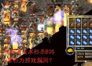 ����ʥ������ɱBOSS�Ƿ�Ϊ��Ϸ©����