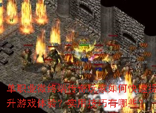 ��ְҵ΢�ն˴��������ο���������Ϸ���飿ʵ�ü�������Щ��