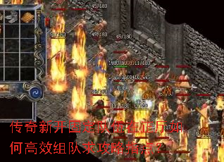 �����¿��̶�������������θ�Ч�������ָ�㣿