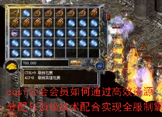 cqsf�����Ա���ͨ����Ч��Դ�����붥��ս�����ʵ��ȫ���ưԣ�