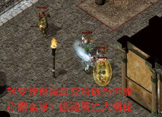��䴫��ħѪ������Ϊ���ܳư�ȫ�����������Դ����