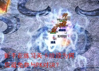 ��������ϰ�ؿ��׶�Ϊ��Ӧ�������PK�Ծ���