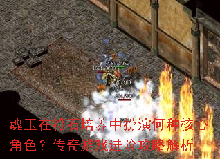 �����ڷ�ʯ�����а��ݺ��ֺ��Ľ�ɫ��������Ϸ���׹��Խ���