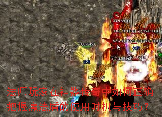 ��ʦ��������������������ȷ����ħ���ܵ�ʹ��ʱ���뼼�ɣ�