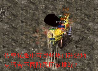����˽��������Щ���������ص��ʺϲ�ͬ�׶������ս��
