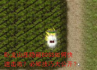 ����ɽׯ����BOSS��ο��ٻ��ܣ���֪���ɴ󹫿���