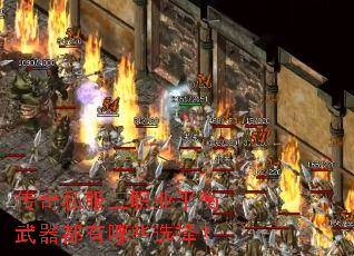 ����˽����ְҵƽ������������Щѡ��