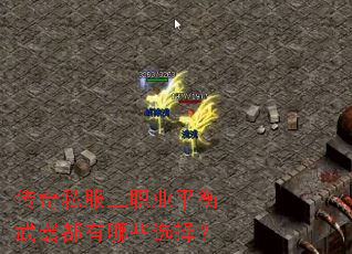 ����˽����ְҵƽ������������Щѡ��