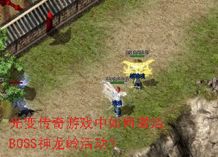 ��䴫����Ϸ����μ���BOSS��������