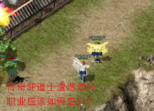 ����SF��ʿ������ʦְҵӦ�����Ӧ�ԣ�