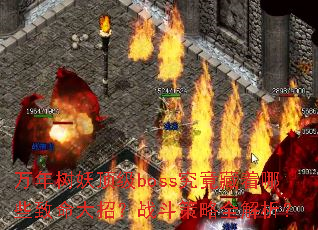 ������������boss����������Щ�������У�ս������ȫ������
