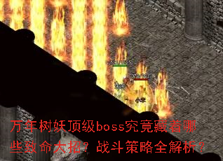 ������������boss����������Щ�������У�ս������ȫ������