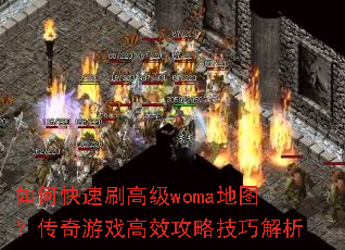 ��ο���ˢ�߼�woma��ͼ��������Ϸ��Ч���Լ��ɽ���