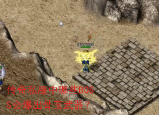 ����˽������ЩBOSS�ᱬ������������