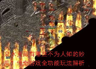 Ȫˮ��������Щ��Ϊ��֪�����ã�������Ϸȫ�����淨����