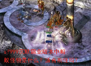 sf999��Ĭ��ҵ�汾�����Ϲ�����ʲô���ʺ�ˢ����