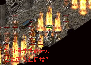 ���ͨ��Ͷ�ʼƻ���������汶����
