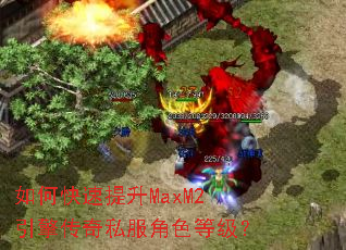 ��ο�������MaxM2���洫��˽����ɫ�ȼ���