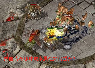 ��Ѫ���������ָ�������������