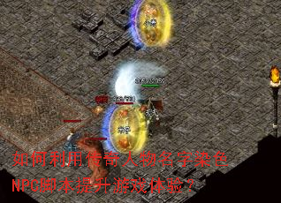 ������ô�����������ȾɫNPC�ű�������Ϸ���飿