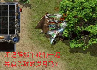 ���ǵ���������һ�𲢼�ɱ�е�������