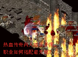 ��Ѫ����������ӿ��ڣ�ְҵ��δ������޵У�