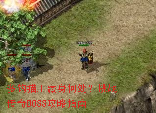 �๳è�������δ�����ս����BOSS����ָ��