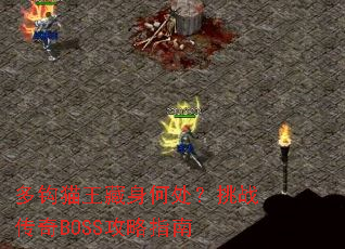 �๳è�������δ�����ս����BOSS����ָ��