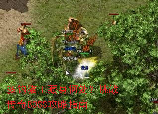 �๳è�������δ�����ս����BOSS����ָ��