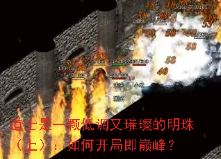��ʿ��һ�ŵ͵����貵����飨�ϣ�����ο��ּ��۷壿